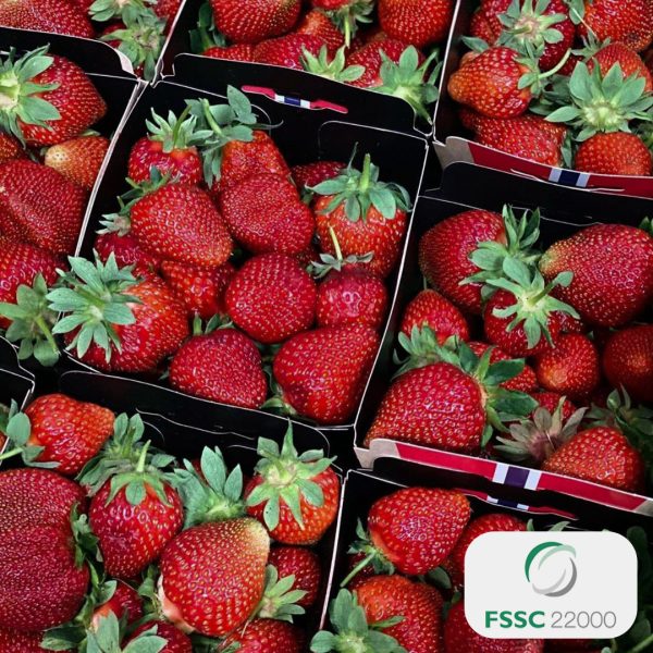 FSSC_jordbær